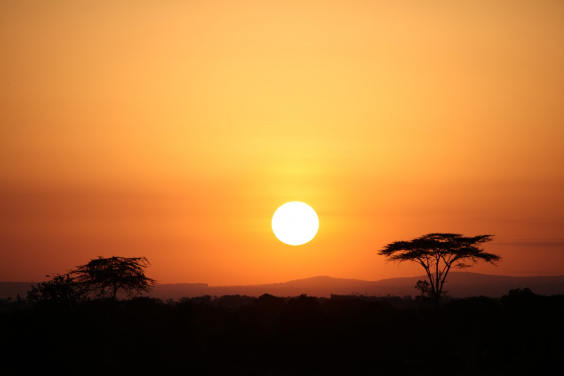 Sun rise in Kenya by Billy Hau